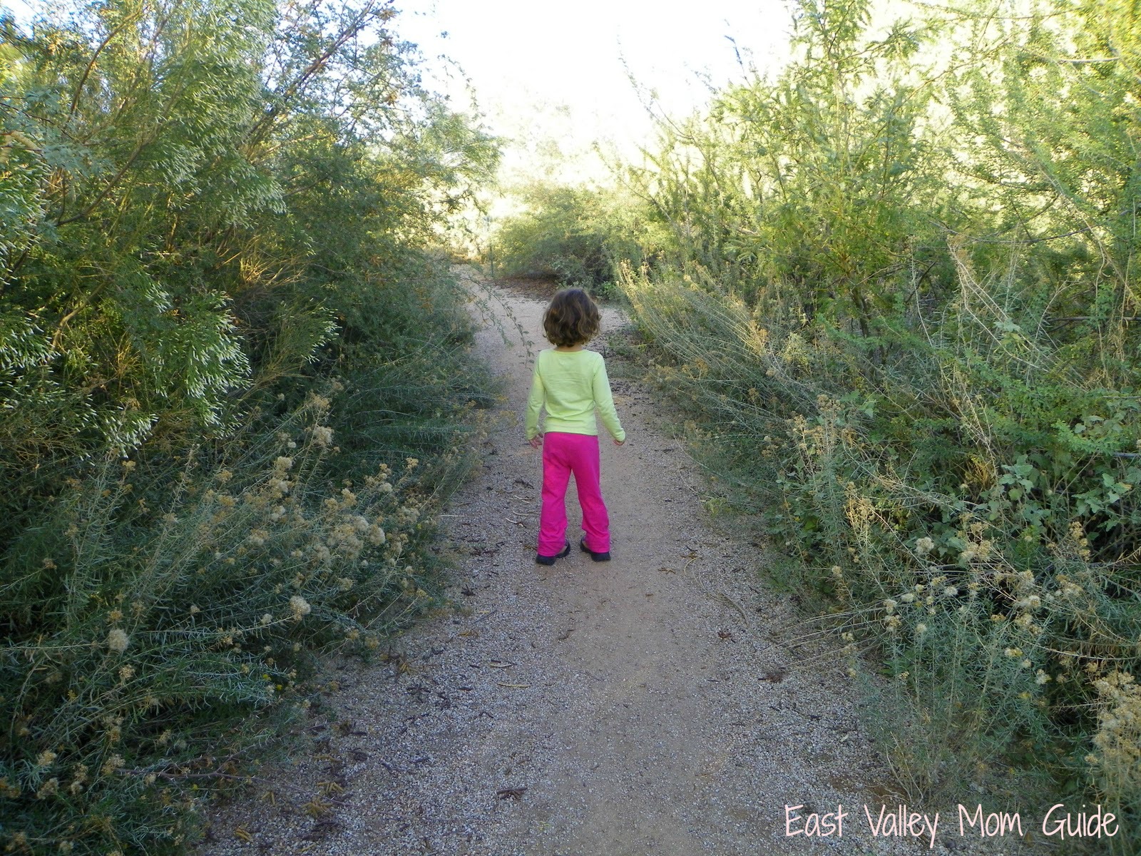 Gilbert Riparian Preserve