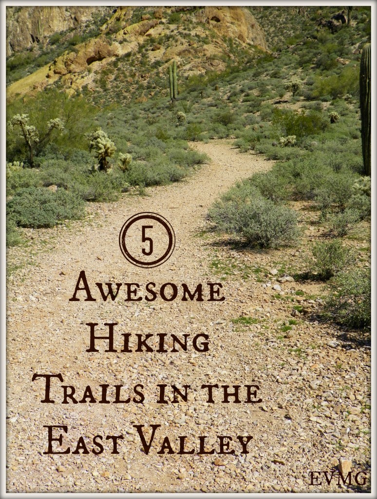 Hiking Trails in the East Valley