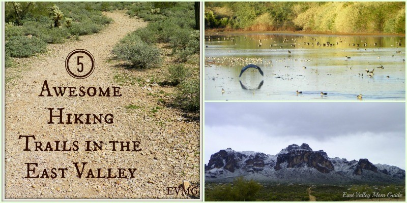 Five Awesome Hiking Trails in the East Valley