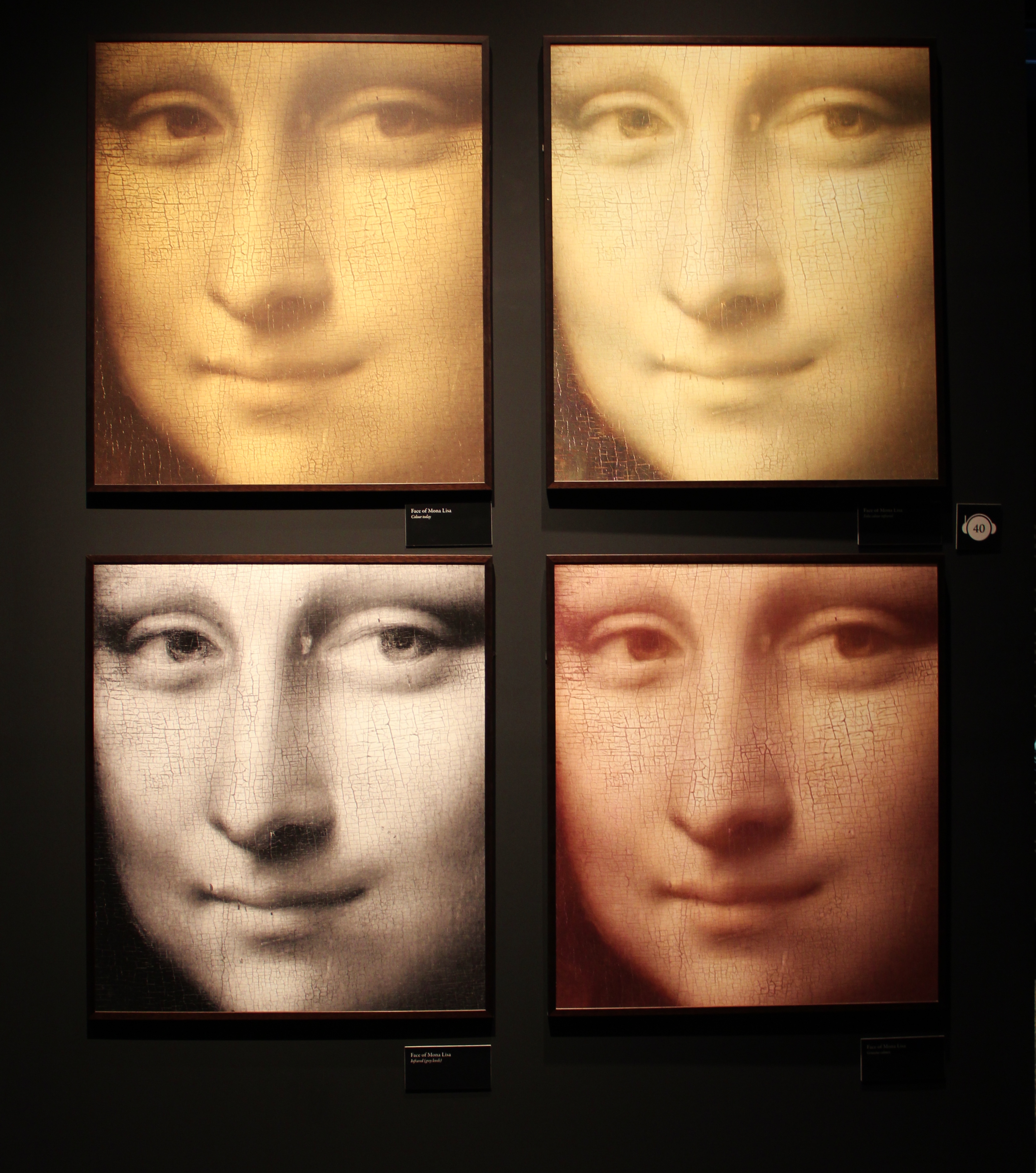 Mona Lisa: Da Vinci - The Genius Exhibit