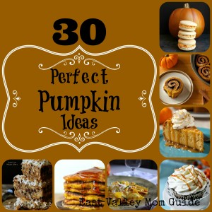 30 Perfect Pumpkin Ideas