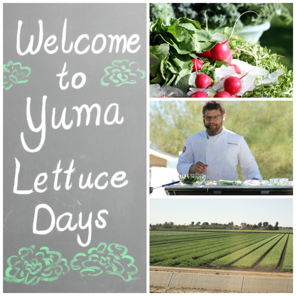 Yuma Lettuce Days 