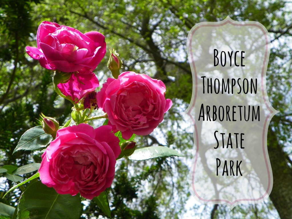 Boyce Thompson Arboretum State Park