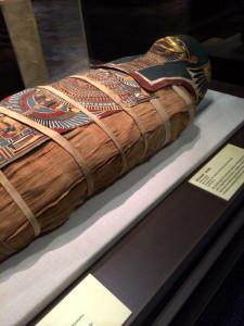 Discover Lost Egypt at the Arizona Science Center