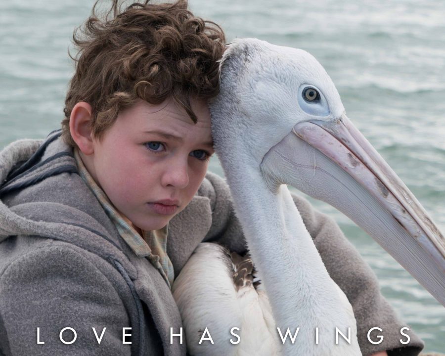 Storm Boy Movie Review